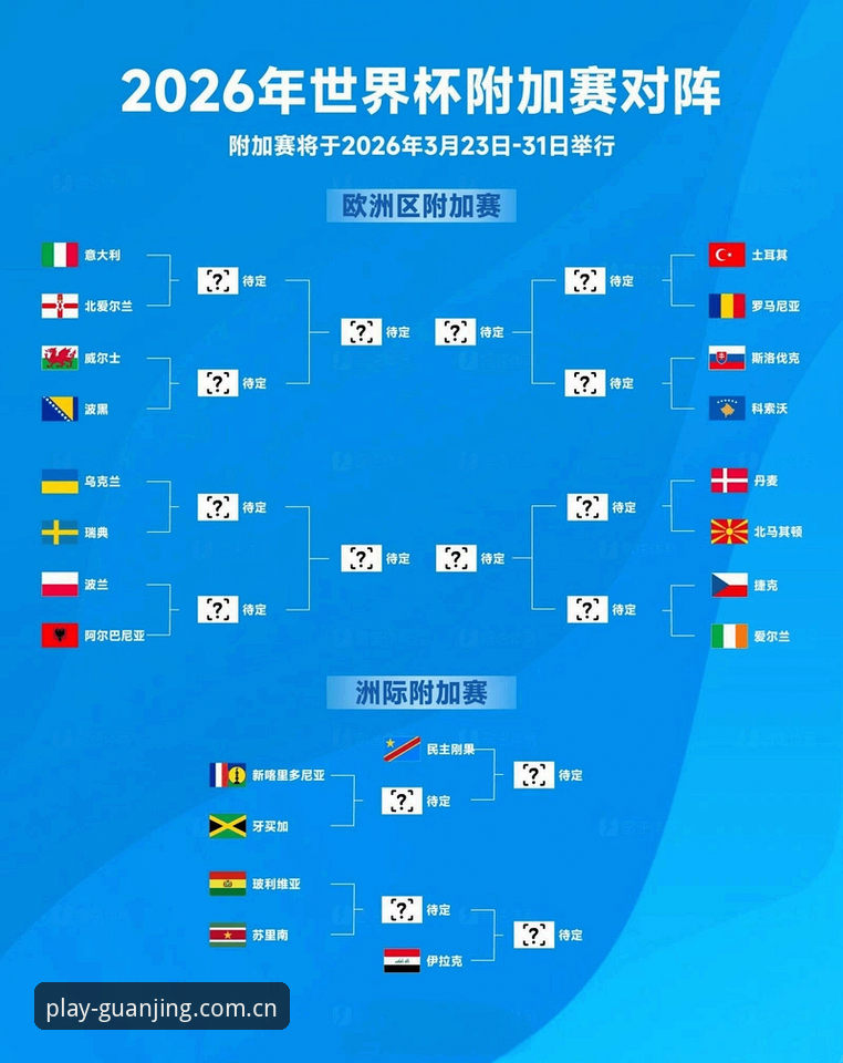 冠竞体育功能介绍 世界杯临近,海外球迷为何遭遇签证危机?冠竞体育平台如何影响观赛体验?